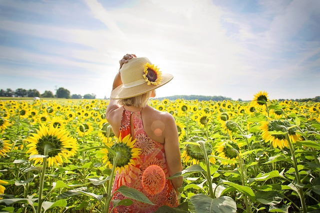 A woman holding onto her sun hat stands facing a field of sunflowers