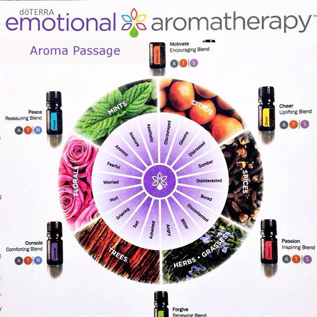 DoTerra essential oils Aromatherapy Kit with Emotion Blends is shown with a circle of emotions.