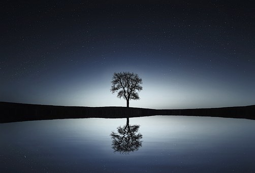 A Beautiful tree reflected into a body of water in front of a night's sky.